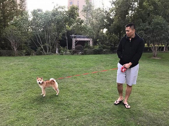 STN快報：在三重現實衝突之間遊走
