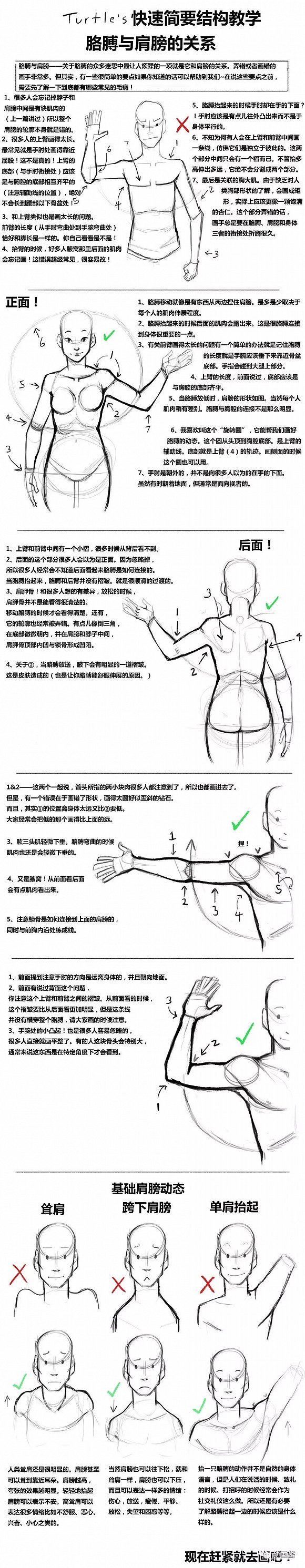 迪士尼是怎麼通過肩膀來描繪角色情感的?