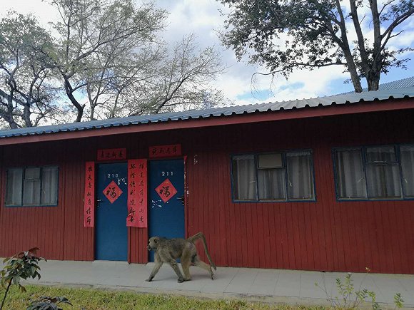 到非洲去④|我們給辛巴威留下了一座水電站
