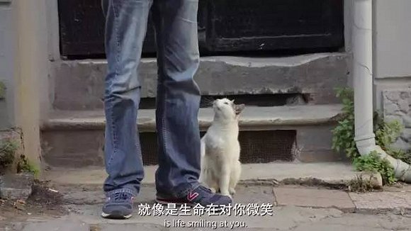 想要帶你去浪漫的土耳其，把它們吸到失憶