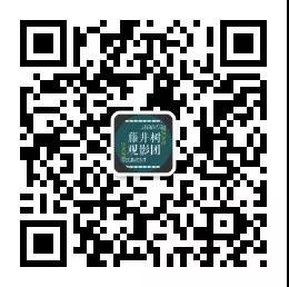 2019海外電影片單：大師雲集，佳片無數