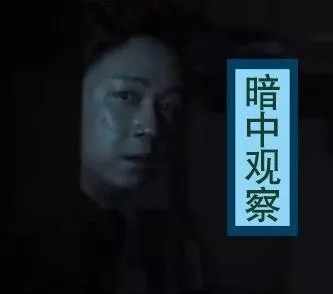 大叔,壓死電視劇小鮮肉的最後一根稻草